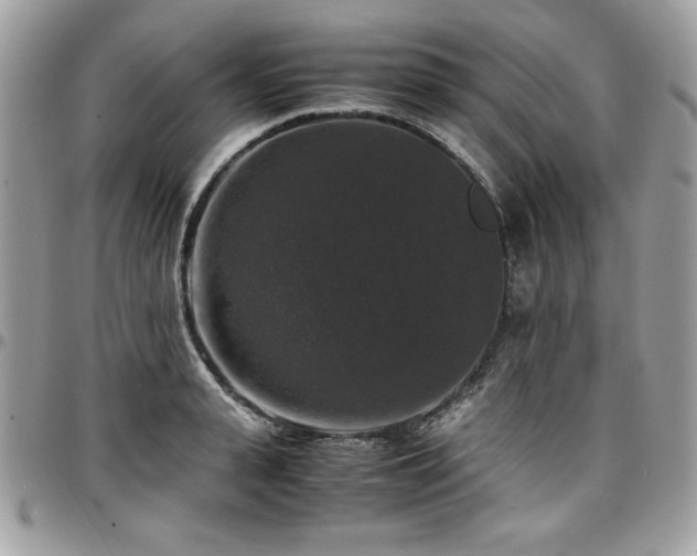 X0000097300943200802151435