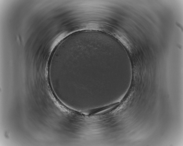 X0000097300944200802151435