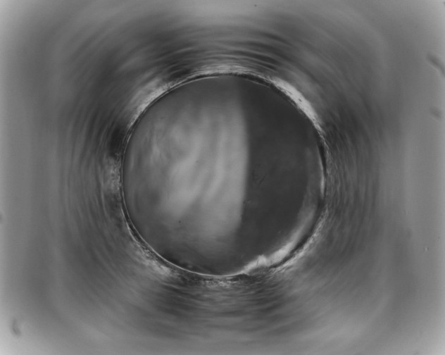 X0000097300945200802151435