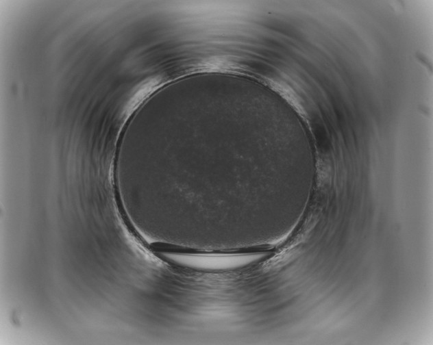 X0000097300946200802151435