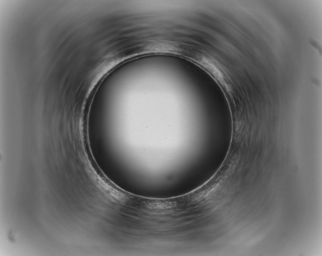 X0000097300947200802151435