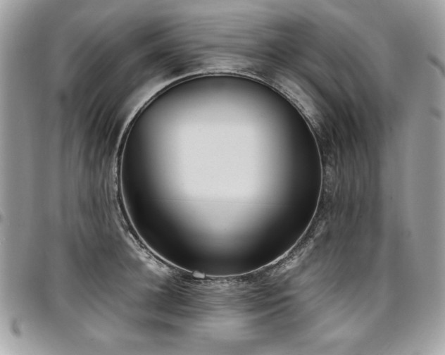 X0000097300948200802151435