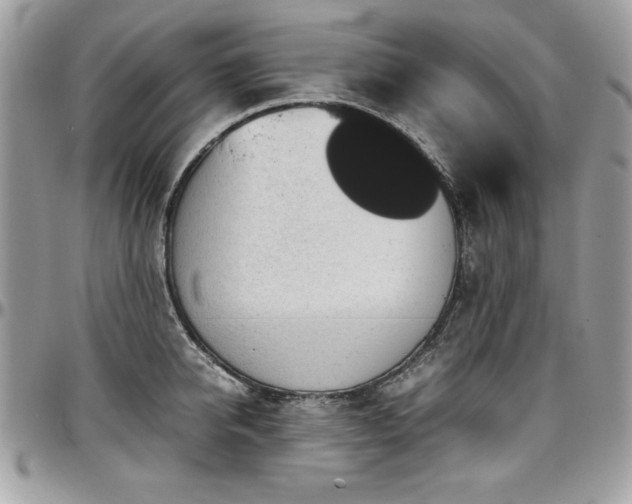 X0000097300950200802151435