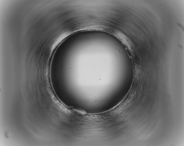 X0000097300952200802151435
