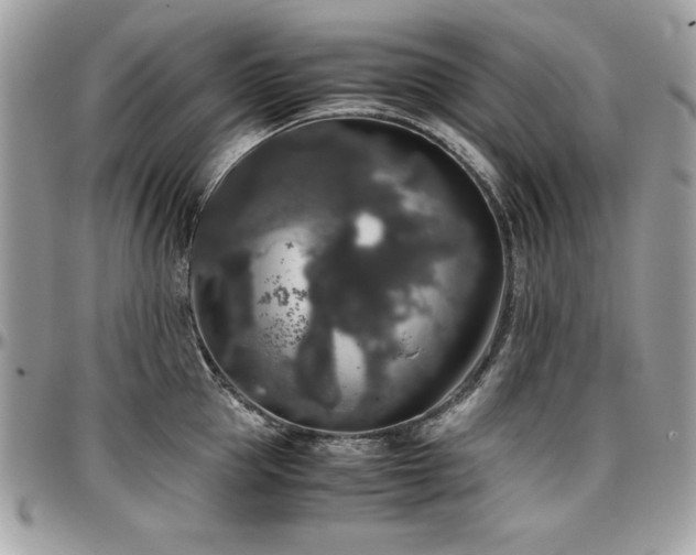X0000097300953200802151435