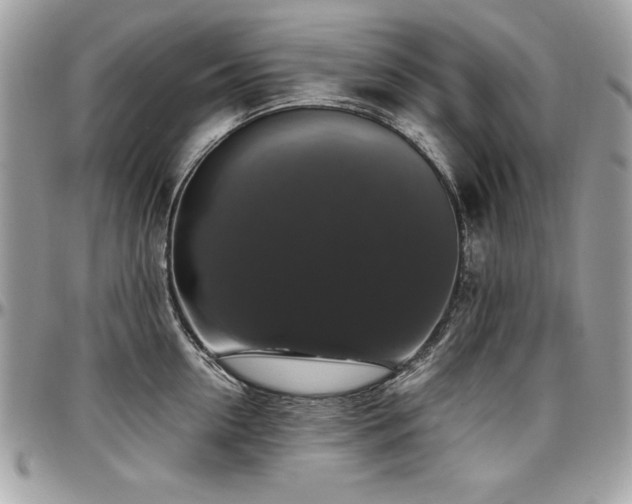 X0000097300954200802151435