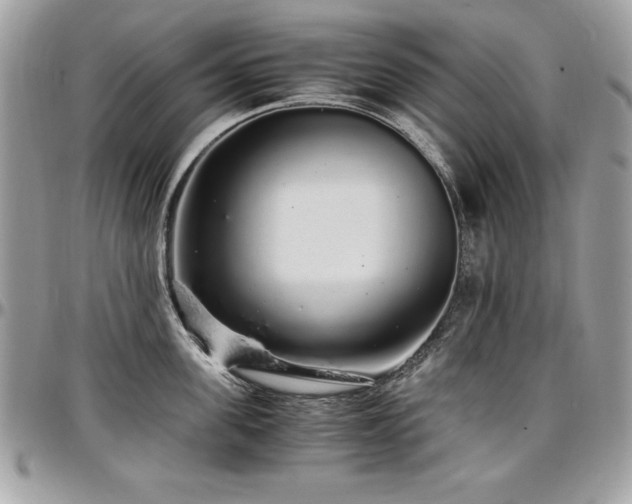 X0000097300955200802151435