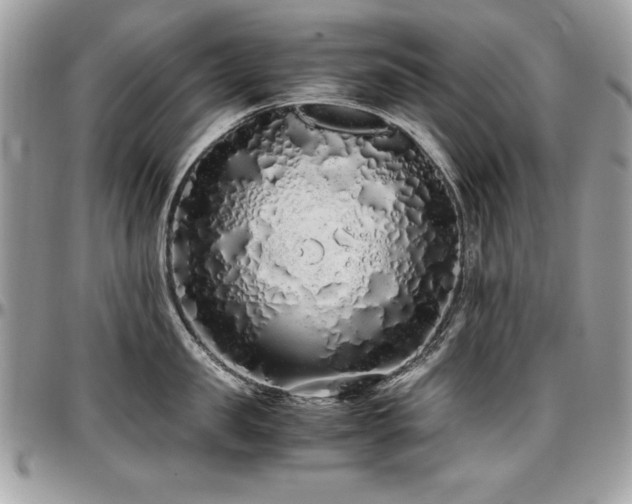 X0000097300957200802151435