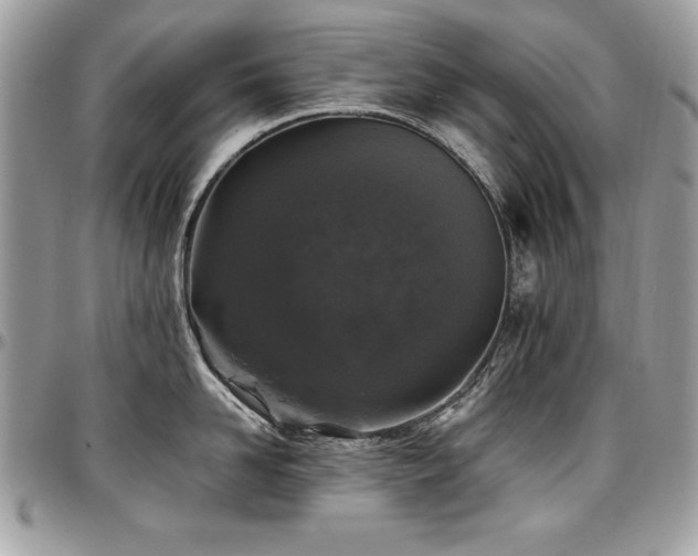 X0000097300958200802151435