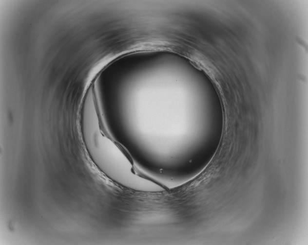X0000097300960200802151435