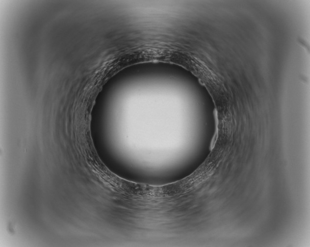 X0000097300961200802151434