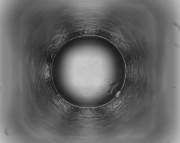 X0000097300962200802151434