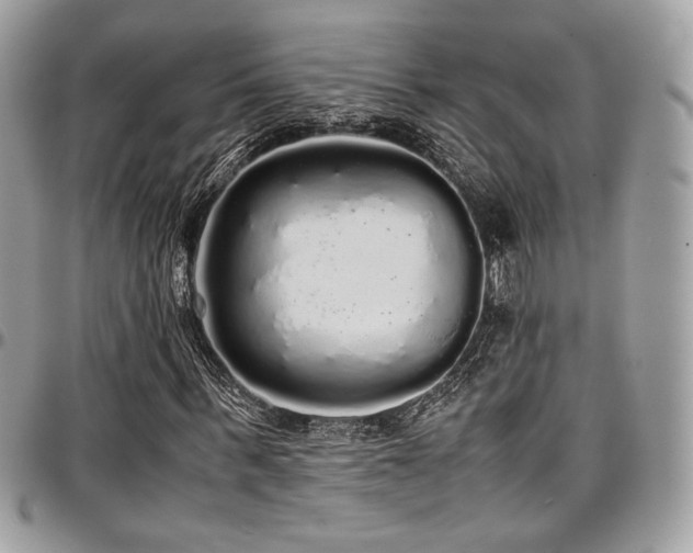 X0000097300963200802151434