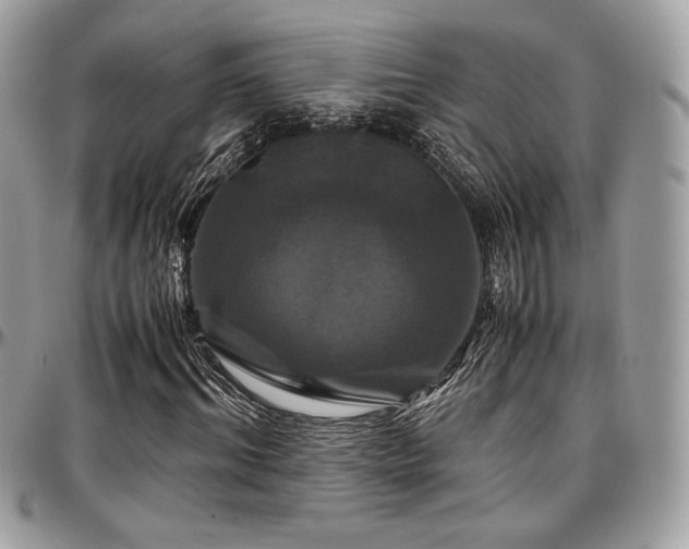 X0000097300964200802151434