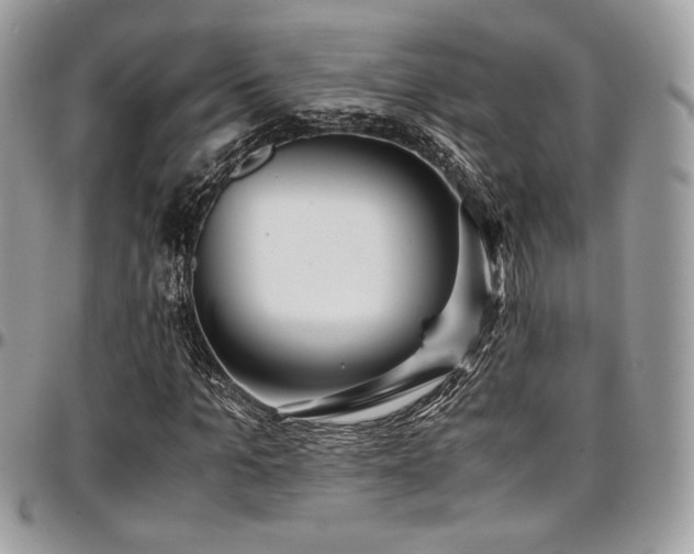 X0000097300965200802151434