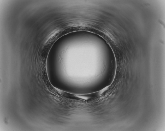X0000097300967200802151434