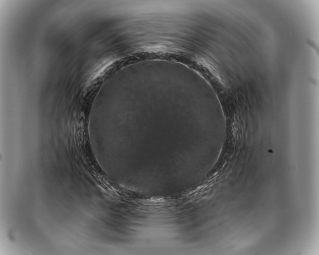 X0000097300968200802151434