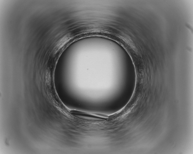 X0000097300969200802151434