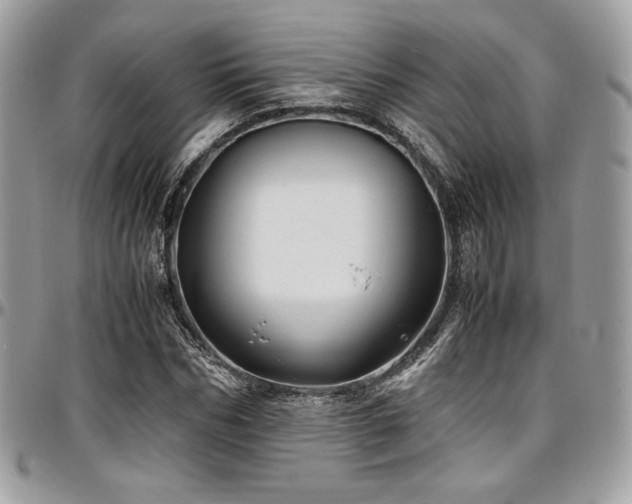 X0000097300970200802151434