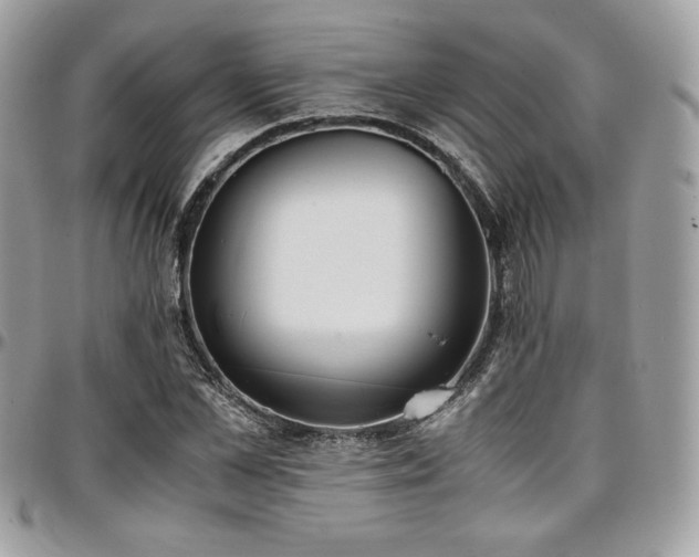 X0000097300973200802151434