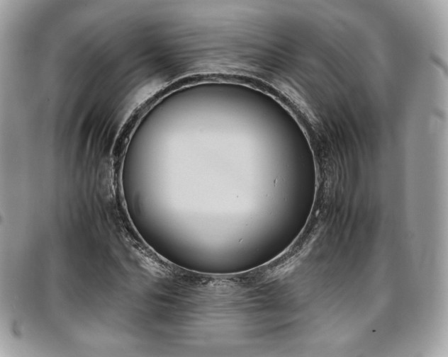 X0000097300974200802151434