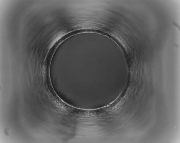 X0000097300975200802151434