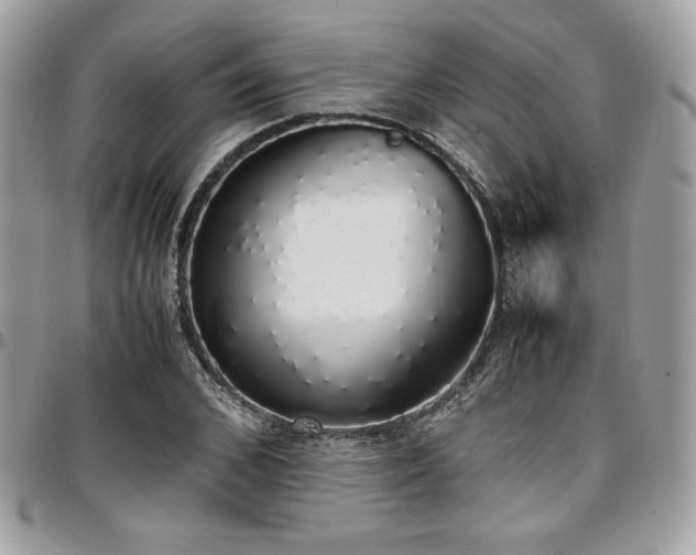 X0000097300976200802151434