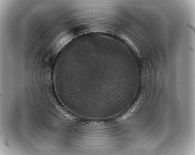 X0000097300977200802151434