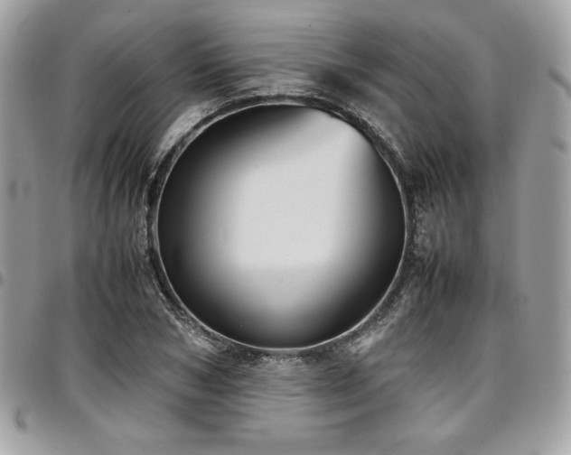 X0000097300978200802151434