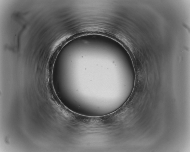 X0000097300979200802151434