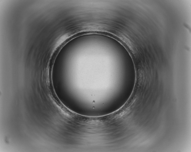 X0000097300982200802151434