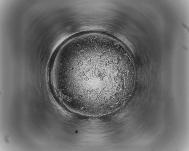 X0000097300983200802151434