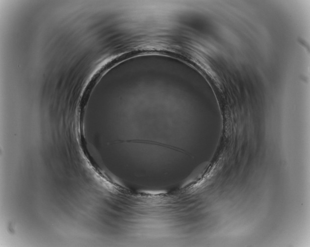X0000097300984200802151434
