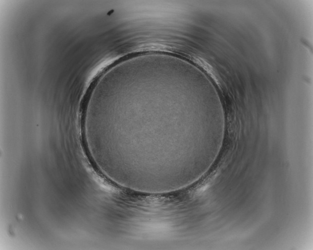 X0000097300987200802151434