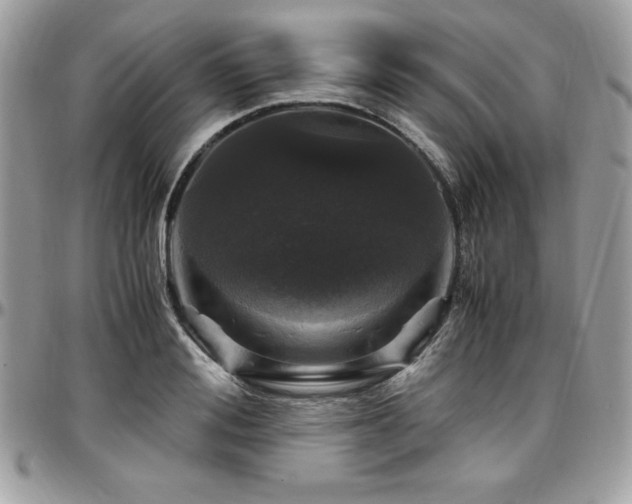 X0000097300988200802151434