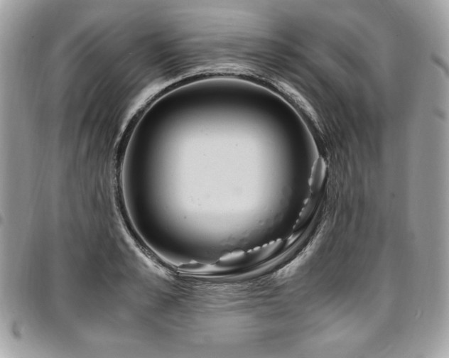 X0000097300989200802151434