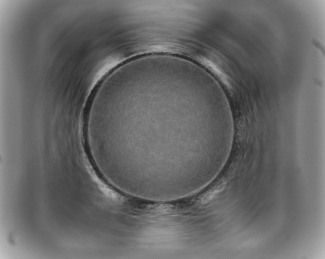 X0000097300991200802151434