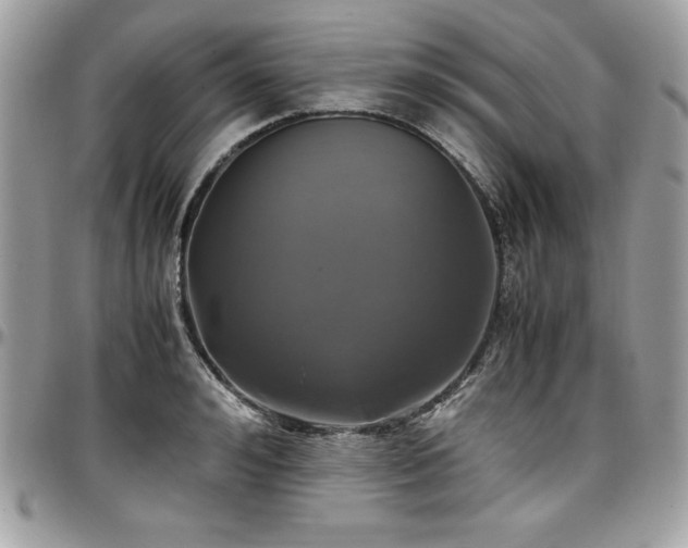 X0000097300992200802151434