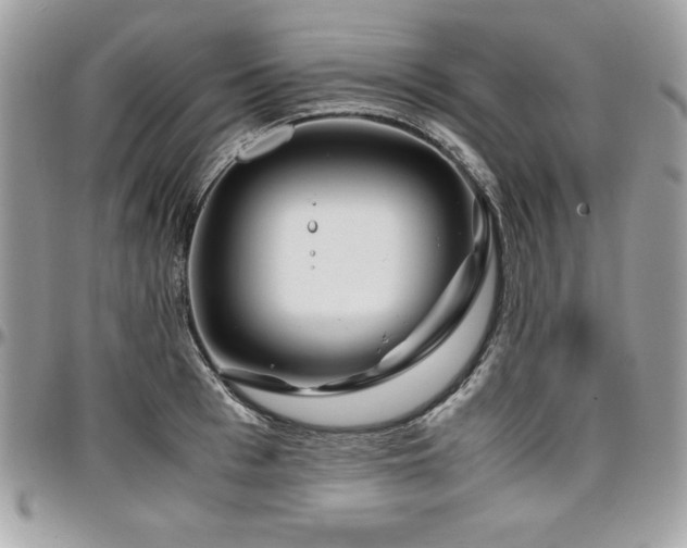 X0000097300993200802151434