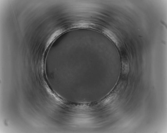 X0000097300994200802151434