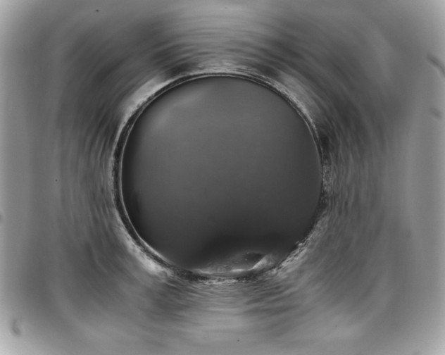 X0000097300995200802151434