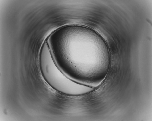 X0000097300996200802151434