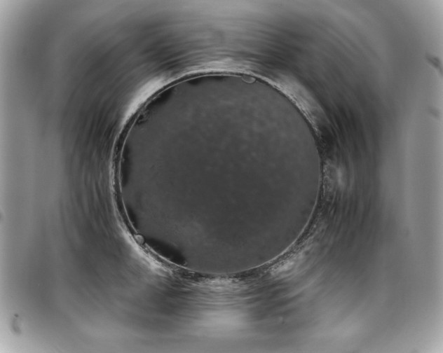 X0000097300998200802151434