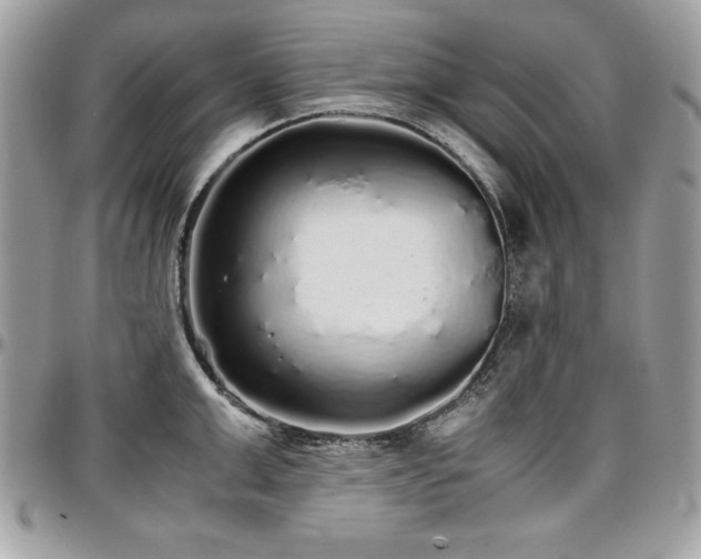 X0000097300999200802151434