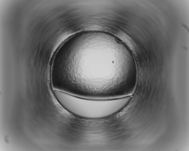 X0000097301000200802151434