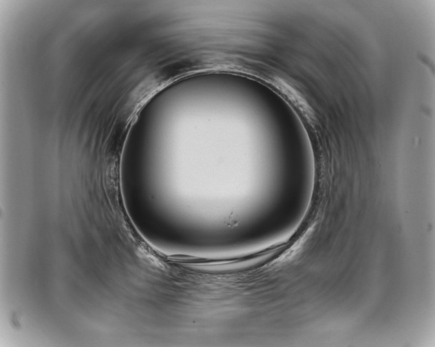 X0000097301001200802151434