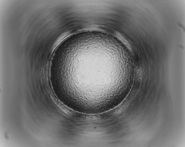 X0000097301002200802151434
