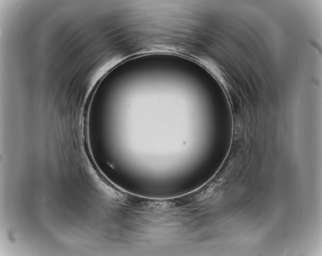 X0000097301003200802151434