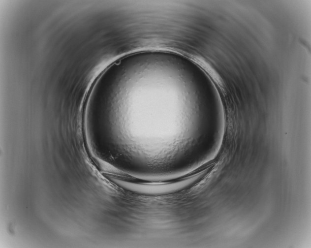 X0000097301004200802151434