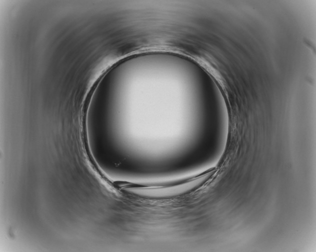 X0000097301005200802151434